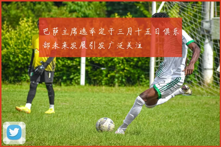 巴萨主席选举定于三月十五日俱乐部未来发展引发广泛关注