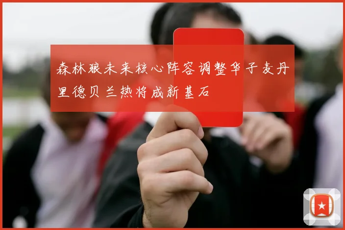 森林狼未来核心阵容调整华子麦丹里德贝兰热将成新基石