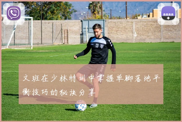 文班在少林特训中掌握单脚落地平衡技巧的秘诀分享
